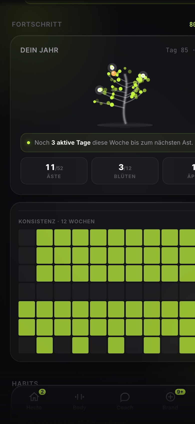 Der Jahresbaum in Managed.OS: elf Äste nach elf aktiven Wochen, darunter die 12-Wochen-Konsistenz-Heatmap.